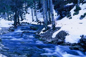 Torrent de Chaux 2